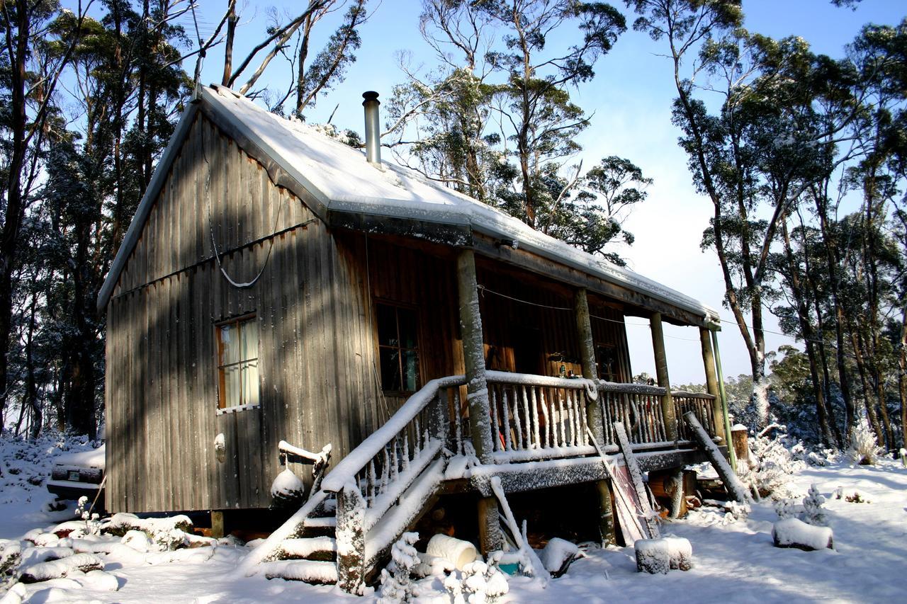 Wombat Cabin Villa Moina Exterior photo